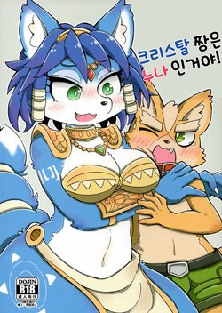 (Kemoket 8) [ZUNDAMORI (Moriguru)] Krystal-chan wa Onee-san Nano! | 크리스탈 짱은 누나인거야! (Star Fox) [Korean]