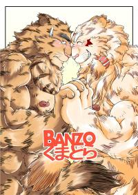 Free Hentai Doujinshi Gallery: [ちょびくま]BANZOくまとら