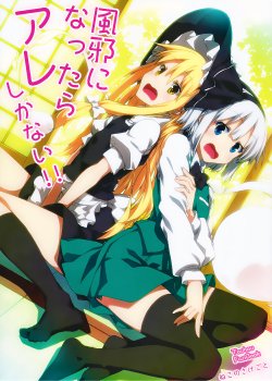 Free Hentai Non-H Gallery: [Neko no Sakegoto (Sazanami Mio)] The Only One Thing to Do When You Have a Cold!! (Touhou Project) [English] {Gaku Gaku Animal Land}