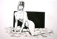 Free Hentai Western Gallery: Modesty Blaise