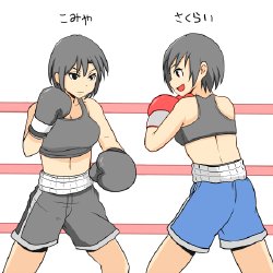 [てすたん (test)] test_femalebox