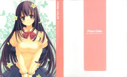 Free Hentai Non-H Gallery: (C80) [CROWN (Yashiro Seika)] PRISM COLOR