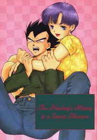 Free Hentai Doujinshi Gallery: Monkey's Misery is a Secret Pleasure (Dragonball Z) [Vegeta X Bulma] -ENG-