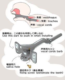 [Pixiv] WanaB (191901)