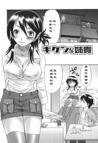 Free Hentai Manga Gallery: [パルコ長嶋]キケンな姉貴（Chinese）