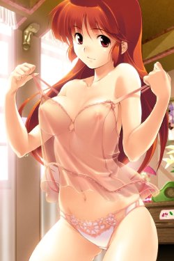 Free Hentai Image Set Gallery: Wet and See Through HCG sets