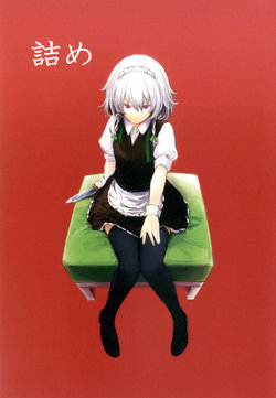 Free Hentai Non-H Gallery: (Kouroumu 9) [Shigure Ebi (LeftHand)] Tsume | Pack (Touhou Project) [English] [Gaku-Touhou]