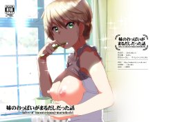 Free Hentai Doujinshi Gallery: [Supe (Nakani)] Imouto no Oppai ga Marudashi Datta Hanashi [Digital]