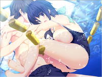 Free Hentai Game CG Set Gallery: [Akatsuki Works Hibiki] LOVELY×CATION - Kanojo to no Shiawase na Hitotoki o Sugosu APPEND LIFE/JULY