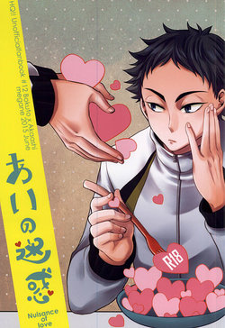 Free Hentai Doujinshi Gallery: (RTS!!5) [Megane (Hobi)] あいの迷惑 (Haikyuu!!)