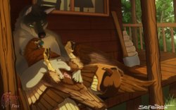 No Harm No Fowl(English)