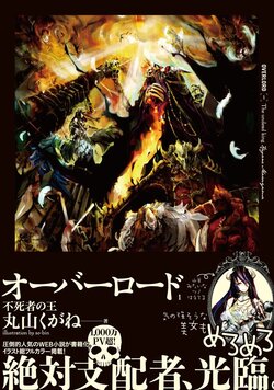 [maruyama kukane, so-bin, light novel] overlord illustartions compiliation
