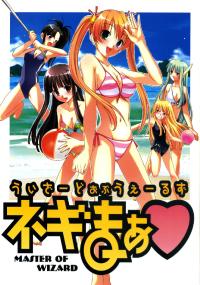 Free Hentai Doujinshi Gallery: (COMIC1) [CANDYMAN (Ayakaze Ryuushou)] Wizard of Wales Negima (Mahou Sensei Negima!) (French)