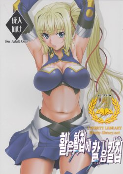 Free Hentai Doujinshi Gallery: [Oretachi Misnon Ikka (Suhara Shiina)] Yumi wa Fukuro ni Tachi wa Saya (Madan no Ou to Vanadis) [Korean] [Liberty Library]