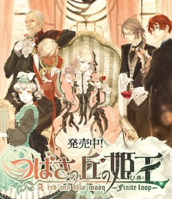 [Snapdragon] Tsubasa no Oka no Hime ～ A red and blue moon - finite loop - ～