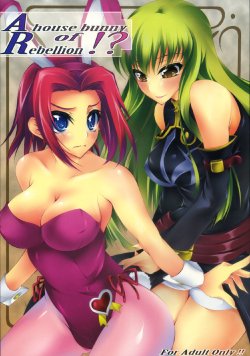(COMIC1☆2) [Zattou Keshiki (Okagiri Shou)] A house bunny of Rebellion!? (Code Geass: Lelouch of the Rebellion) [Chinese] 【黑条汉化】