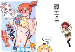 Free Hentai Doujinshi Gallery: (C84) [zero-sen (xxzero)] 3D no X to Y de Happiness?! (Pokemon) [Chinese] [沒有漢化] [Decensored]