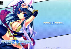 (C80) [hlz (Sanom)] Sasuga Ninjya Kitanai (Ragnarok Online)