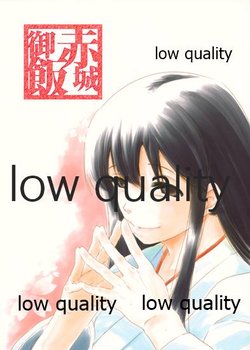 (C93) [Merkmal (ALL.)] Akagi Gohan (Kantai Collection -KanColle-)