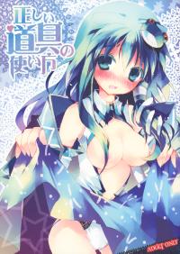 Free Hentai Doujinshi Gallery: (Reitaisai 7) [BIBASUKU (Ayuka)] Tadashii Dougu no Tsukaikata (Touhou Project)