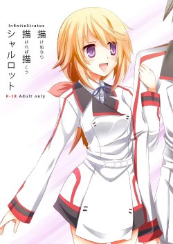 Free Hentai Doujinshi Gallery: [All Write (Kakeru)] Kakenunara Kakereba Kakou Charlotte (IS <Infinite Stratos>)