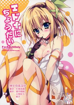 Free Hentai Doujinshi Gallery: (COMIC1☆9) [LOOPTHELOOP! (Herurun)] Edna ni Choudai (Tales of Zestiria) [Chinese] [绅士仓库汉化]