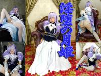 Free Hentai Cosplay Gallery: [角リ写真館] 淫堕の月姫