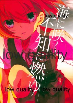 (C90) [Nanika no Chachacha (Ryuko)] Umi ni Saku, Fuchi ni Moyu (Kantai Collection -KanColle-)