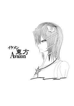 (C78) [Hellwar (Night Hawk Yoshinori)] Ikemen Touhou Avalon (Touhou Project)