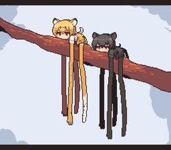 [Pixiv] midoribox (17981518)  2019.03.16