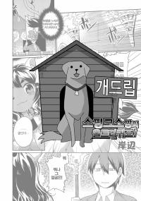 Free Hentai Manga Gallery: [Kishibe] Sphinx-chan no Urutora Quiz (Comic Anthology Qoopa Vol. 2) [Korean] [Team Dog Drip]