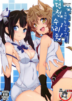Free Hentai Doujinshi Gallery: (FF25) [Nikoushikou (Nekosaki Aoi)] 던전 수리중 ~도대체 뭘 하는거야~？ (Dungeon ni Deai o Motomeru no wa Machigatteiru Darou ka) [Korean] [Team LTG]