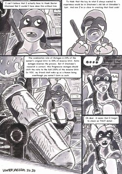 Teenage Mutant Ninja Turtles: The full 80%