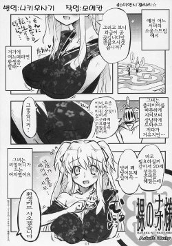 (C71) [Saitouya (Saito)] Hadaka no Nao-sama (Mabinogi) [Korean]