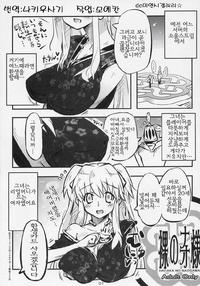 Free Hentai Doujinshi Gallery: (C71) [Saitouya (Saito)] Hadaka no Nao-sama (Mabinogi) [Korean]