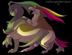 [Pokemon] pidgey pidgeotto pidgeot