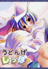 Free Hentai Doujinshi Gallery: (CSP4) [Pixel Phantom (Kamiya Yuu)] Udonge no Shippo (Touhou Project)