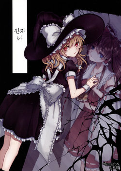 (C94) [Ichimi-Zanmai (13)] Honto no watashi (Touhou Project) [Korean]