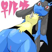 Pokemon - Lucario ♀ Compilation