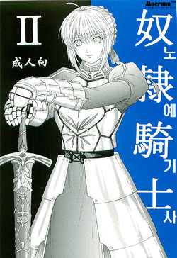 Free Hentai Doujinshi Gallery: [KUSARI (Aoi Mikku)] Dorei Kishi II (Fate/stay night) [Korean]