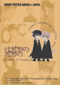 Free Hentai Non-H Gallery: [Sisters of Franders (Semia Rai)] Kedamono Damono (Harry Potter)