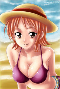 Free Hentai Misc Gallery: Nami Collection