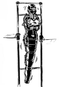 funny cute straightjacket collection