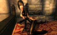Free Hentai Misc Gallery: My TESIV Oblivion Screenshots