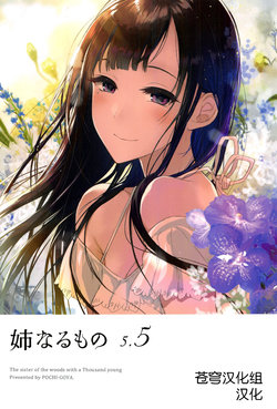 (C92) [Pochi-Goya. (Pochi.)] Ane Naru Mono 5.5 (Ane Naru Mono) [Chinese] [苍穹汉化组]