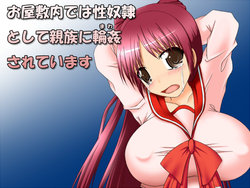 [Mousou Gekijou] Oyashikinai de wa Seidorei to Shite Shinzoku ni Mawasarete Imasu (ToHeart2)