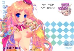 (C81) [Private Garden (Tsurusaki Takahiro)] retrieve#13 (Atelier Meruru The Apprentice of Arland) (korean)