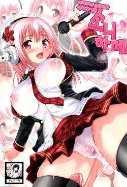 Free Hentai Doujinshi Gallery: (C81) [An-Arc (Hamo)] Sonihame (Super Sonico) [Korean]