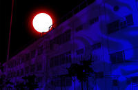 Free Hentai Artist CG Set Gallery: [Giman no Hakoniwa] Okubyou Senshi no Nanafushigi