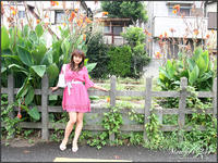 Free Hentai Asian Porn Gallery: [Maxi-247] - Yuri